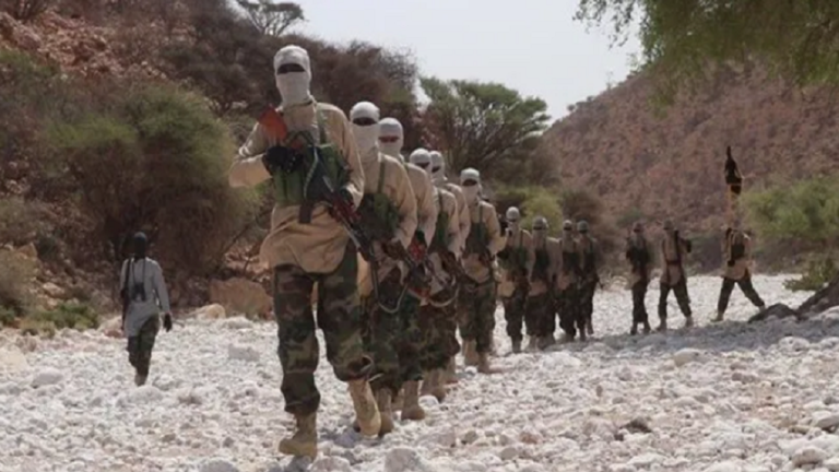 القبض على مسلحين من تنظيم "داعش" #بالصومال