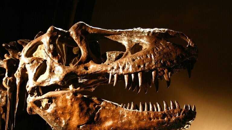 10 اكتشافات للديناصورات لعام 2020