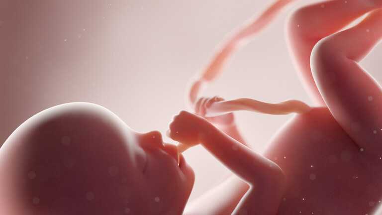 دراسة حديثة تكشف سر تحفيز بكاء الرضيع لخروج حليب الأم