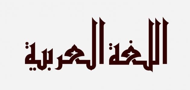 الله الله في لغتنا العربية !! بقلم د . علي الزبيدي